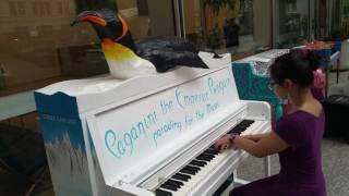 Paganini The Emperor Penguin with pianist Carmen Tang