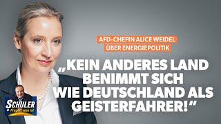 AfD-Chefin Alice Weidel: „Kein anderes Land benimmt sich wie Deutschland als Geisterfahrer!“