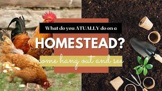 So you want to Homestead...? #homesteading #homesteadingfamily