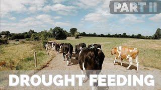 Moving Dairy Heifers off the Milking Platform