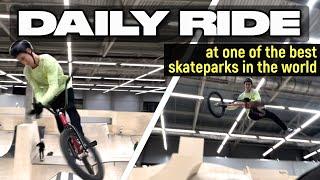 DAILY RIDE with some heavy tricks