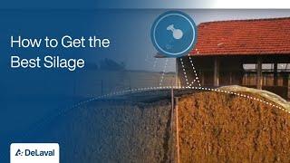 Good Practices for Silage Production | How to Get the Best Silage | DeLaval