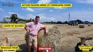 SUNNY SATURDAY...MAKE HAY WHILE THE SUN SHINES!