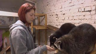 Raccoon Cafe in Kharkiv Becomes Safe Haven for Ukrainians