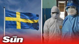 Is Sweden heading to a COVID-19 catastrophe after refusing lockdown?