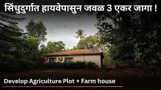 सिंधुदुर्गात हायवेपासुन जवळ 3 एकर जागा ! Develop Agriculture Plot + Farm house | PN14 |