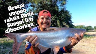 Repeat lokasi mancing sama.. banyak ikan patin kat sungai ni