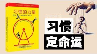 《习惯的力量》为什么我们会这样生活，那样工作｜你的习惯对了你无所不能｜听书会 Listenin books