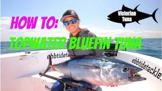 Bluefin Tuna on topwater - how to!