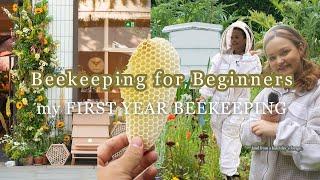 My First Year as a Beekeeper in Ireland | From Beginner to Swarm Catcher with Native Irish Bees