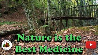 The Best Medicine - Hiking in a Beautiful Forest