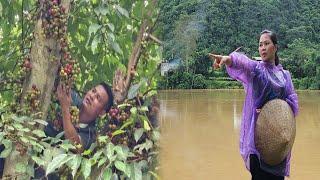 On rainy and stormy days, Ly goes to the market to sell figs to earn some extra money