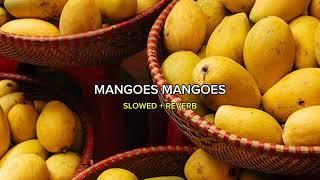 MANGOES MANGOES AUDIO EDIT (SLOWED + REVERB) | CRICDIVEDITZ