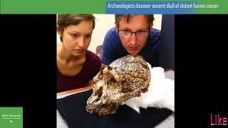 Archaeologists discover ancient skull of distant human cousin Paranthropus robustus