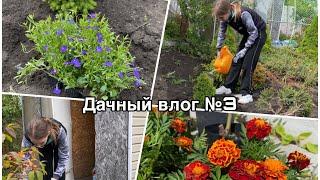 Дачный влог №3  Посадка цветов/Разбор сарая