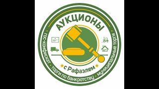 Как мы выиграли ГРУЗОВИКИ НА АУКЦИОНЕ. За сколько купили и за сколько продали. Публичные торги.