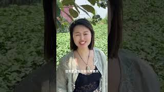 年轻人的借口，我还能用多久……#晚安