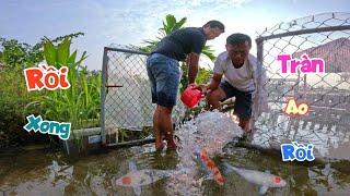 Tin Vui Ngoài Sông Nước Đã Cạn Nhưng Lại Tràn Vào Ao Nhà Quế Rồi / Quế Nghịch