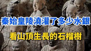 秦始皇陵內部到底澆灌了多少水銀？看山頂生長的石榴樹，就能明白了【一觀歷史】#秦始皇陵 #秦始皇 #考古发现 #考古 #考古發現 #兵马俑