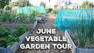 June Veg Garden Tour (summer 2018)