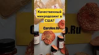 Качественный микродозинг в США? #микродозингмухомора #ежовик #сша