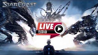 24.11.15(금) 【 인피쉰 생방송 다시보기 】 스타 빨무 스타크래프트 Starcraft