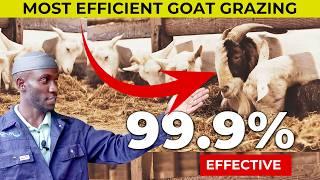 Which Goat Farming System Will Boost Your Profits? Zero Grazing vs. Free Range!