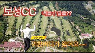 백돌이 최강자전? 프로에 손길이 많이 필요한시기인가보다...ㅡㅡ;;보성CC전반#골프#백돌이#명랑골프