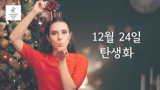 크리스마스 이브 생일, 12월 24일 탄생화, 미슬토, 겨우살이의 특별한 의미