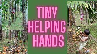 Tiny helping hands | Me and my grandfather || Nudishree