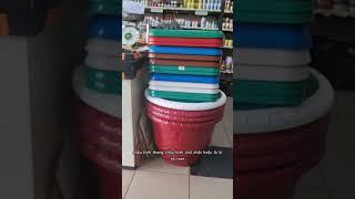 Chọn chậu trồng cây, chậu nhựa rẻ bền đẹp Vườn Sài Gòn