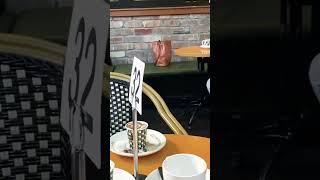 Oliver brown #sydney #Australia #bestcoffee #dinner #entertainment #familytime #playarea #minttea