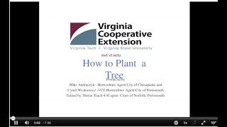 How To Plant A Tree