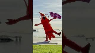 iPhone 16 — Online Ad — Shrimp Clean Up