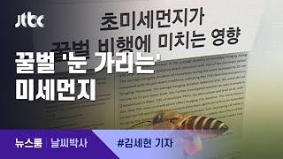 [날씨박사] 꿀벌 '눈 가리는' 미세먼지…비행시간 늘어나 / JTBC 뉴스룸