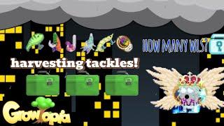 HARVESTING TACKLES!!! BIG PROFIT|GROWTOPIA