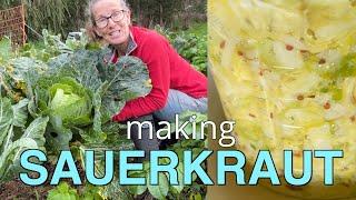 Making Sauerkraut  | Permaculture Life