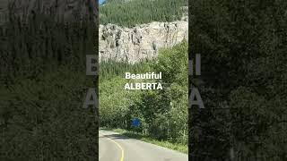 طبیعت زیبای آلبرتا در تابستان#canada #canadalife #nature #alberta