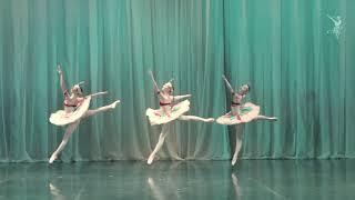 Odalisques Pas de Trois - Vaganova Academy (Maria Zatoka, Miyu Tobata, Sofya Solomina)