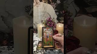 Your DAILY Tarot Message This Goes To A Deeper Level #tarot #daily #tarotreading #allsigns