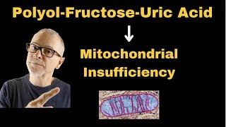 Mitochondrial Insufficiency: Why We Get Sick!