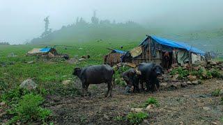 Naturally Rural Life In Nepal || Old couple Cooking Organic food || Rural Life In Jumla Nepal