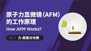 力-距离分光镜 | 原子力显微镜如何运作 | Force-Distance Spectroscopy | How AFM Works