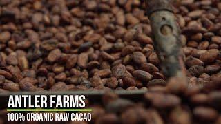 Antler Farms 100% Pure Organic Raw Cacao - Certified Goodness