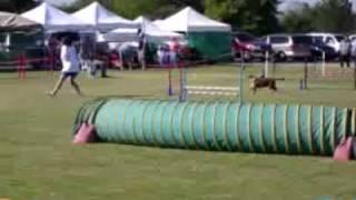 PV Park Agility - DoggySpace.com2.flv