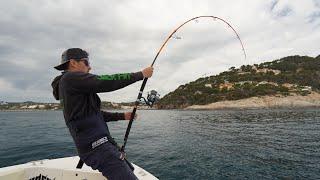 ATUNES A SUPERFICIE EN LA ESCALA | COSTA BRAVA