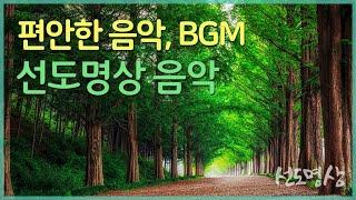 편안한 음악 선도명상 음악(편안한 브금) - 만월도전 선도명상