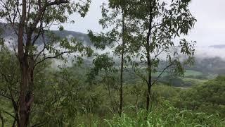 Climbing the Gilles Highway to Lake Barrine