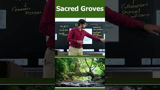 Sacred groves- Why in news? - Best IAS Academy in Vijayawada