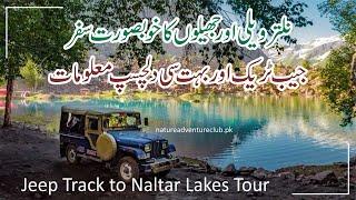 Naltar Valley Road Condition | Nalar Lakes Tour | Blue & Satrangi Lake | Jeep Rental Track Pakistan